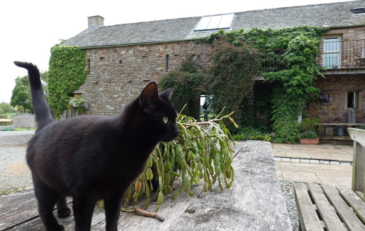 Crake Trees Manor Bed & Breakfast Crosby Ravensworth Exterior photo